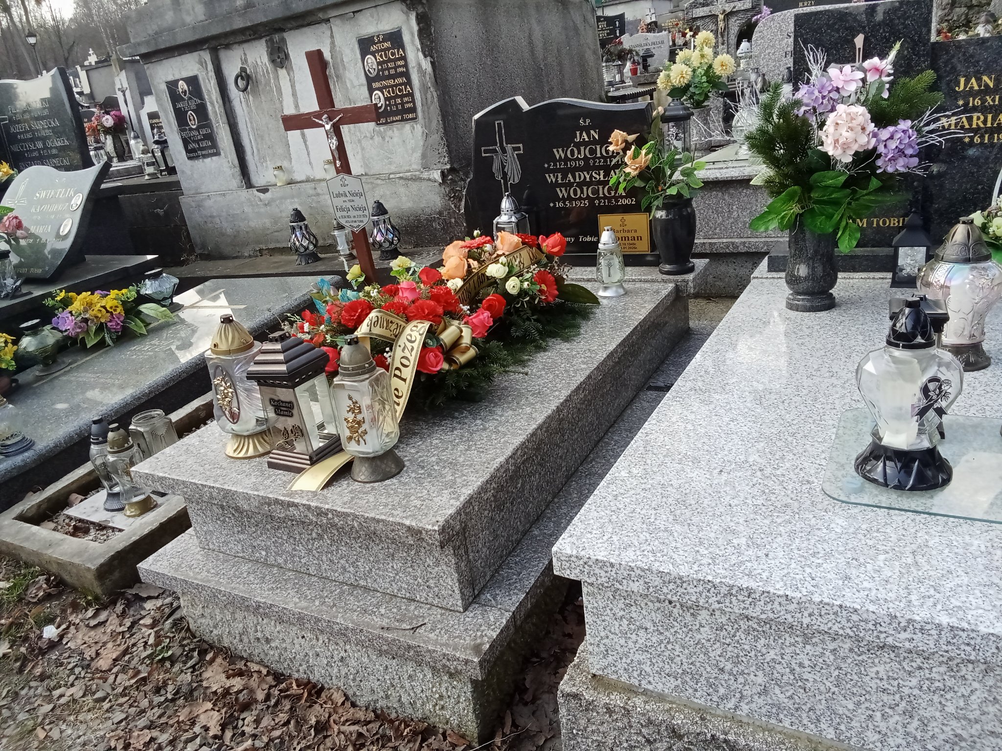 Grób Władysława Wójciga