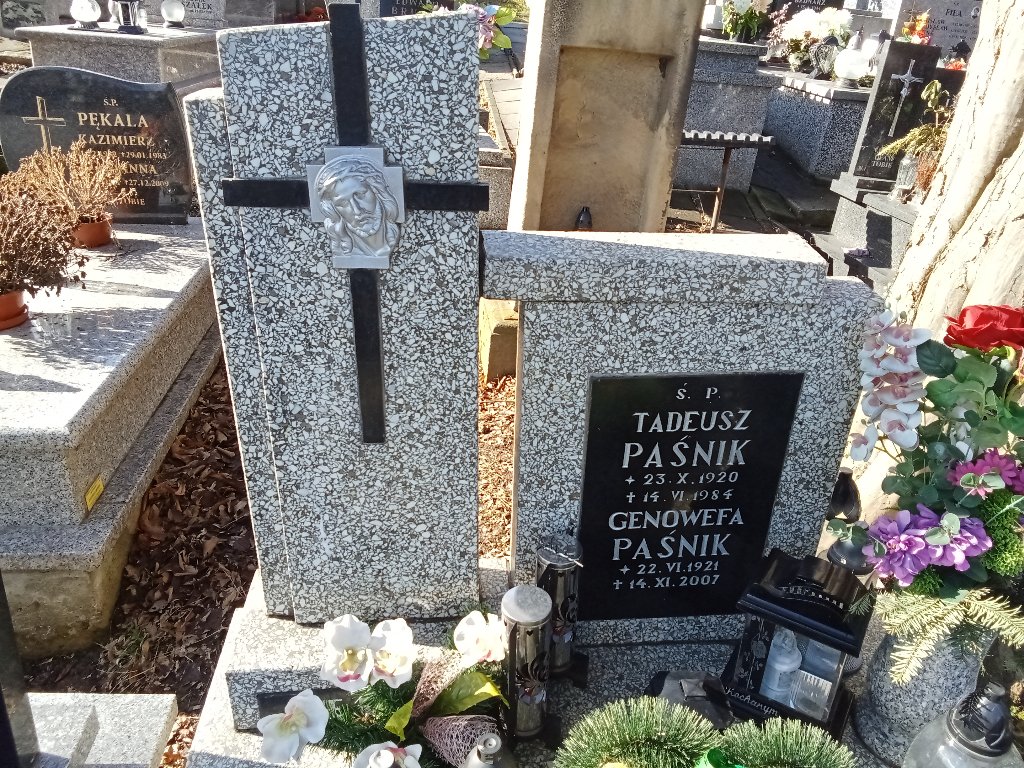 Grób Genowefa Paśnik